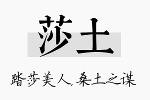 莎土名字的寓意及含义