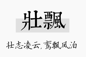 壮飘名字的寓意及含义