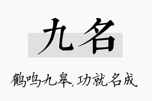 九名名字的寓意及含义