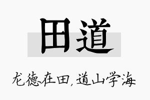 田道名字的寓意及含义