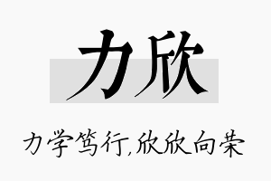 力欣名字的寓意及含义