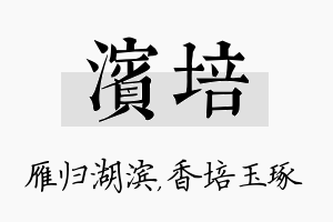 滨培名字的寓意及含义