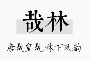 哉林名字的寓意及含义