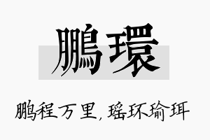 鹏环名字的寓意及含义