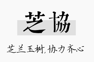 芝协名字的寓意及含义