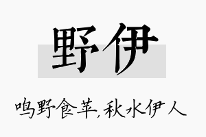 野伊名字的寓意及含义