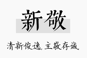 新敬名字的寓意及含义