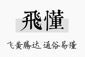 飞懂名字的寓意及含义