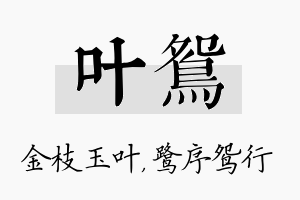 叶鸳名字的寓意及含义