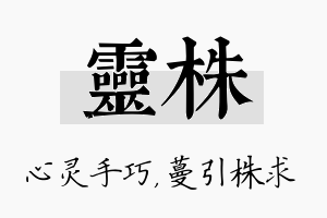 灵株名字的寓意及含义