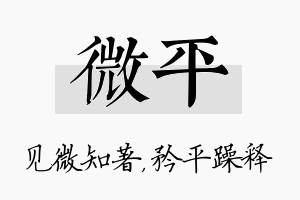 微平名字的寓意及含义