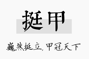 挺甲名字的寓意及含义