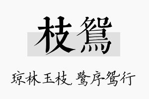 枝鸳名字的寓意及含义