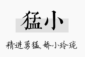 猛小名字的寓意及含义