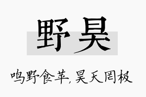 野昊名字的寓意及含义