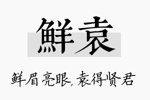 鲜袁名字的寓意及含义