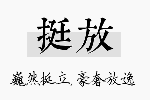 挺放名字的寓意及含义