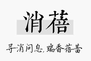 消蓓名字的寓意及含义