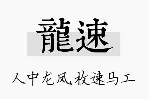 龙速名字的寓意及含义