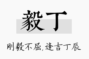 毅丁名字的寓意及含义