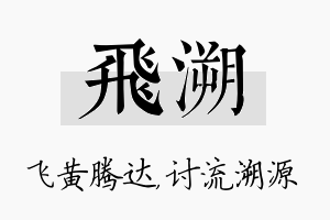 飞溯名字的寓意及含义