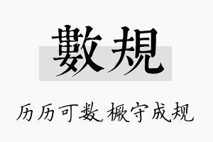 数规名字的寓意及含义