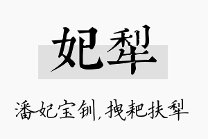 妃犁名字的寓意及含义