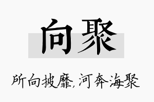 向聚名字的寓意及含义