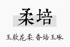 柔培名字的寓意及含义