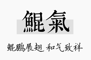 鲲气名字的寓意及含义