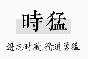 时猛名字的寓意及含义