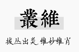 丛维名字的寓意及含义