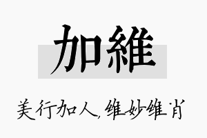 加维名字的寓意及含义