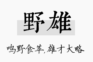 野雄名字的寓意及含义