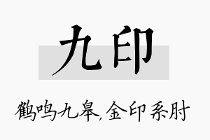 九印名字的寓意及含义