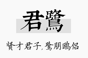 君鹭名字的寓意及含义