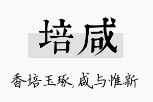 培咸名字的寓意及含义