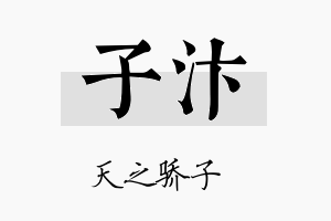 子汴名字的寓意及含义