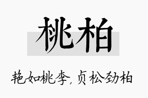 桃柏名字的寓意及含义