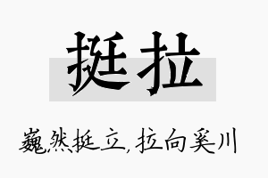 挺拉名字的寓意及含义