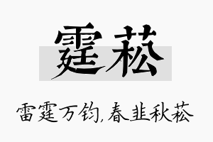 霆菘名字的寓意及含义