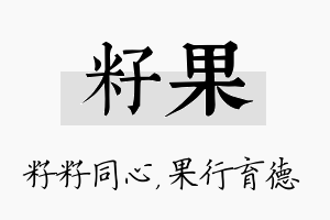 籽果名字的寓意及含义