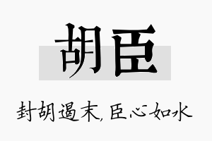 胡臣名字的寓意及含义