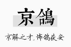 京鸽名字的寓意及含义