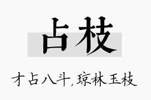 占枝名字的寓意及含义