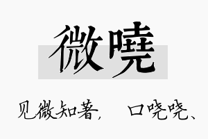 微哓名字的寓意及含义