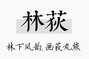 林荻名字的寓意及含义