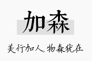 加森名字的寓意及含义