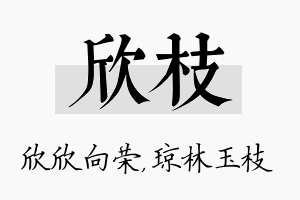 欣枝名字的寓意及含义