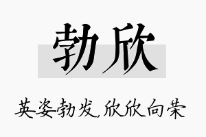 勃欣名字的寓意及含义